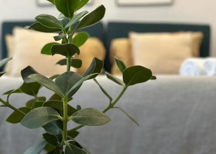 Homestay Com Varanda Centro De *